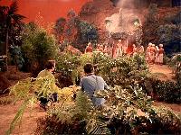 Click to watch 'The Apple' (popup) Star Trek TOS
